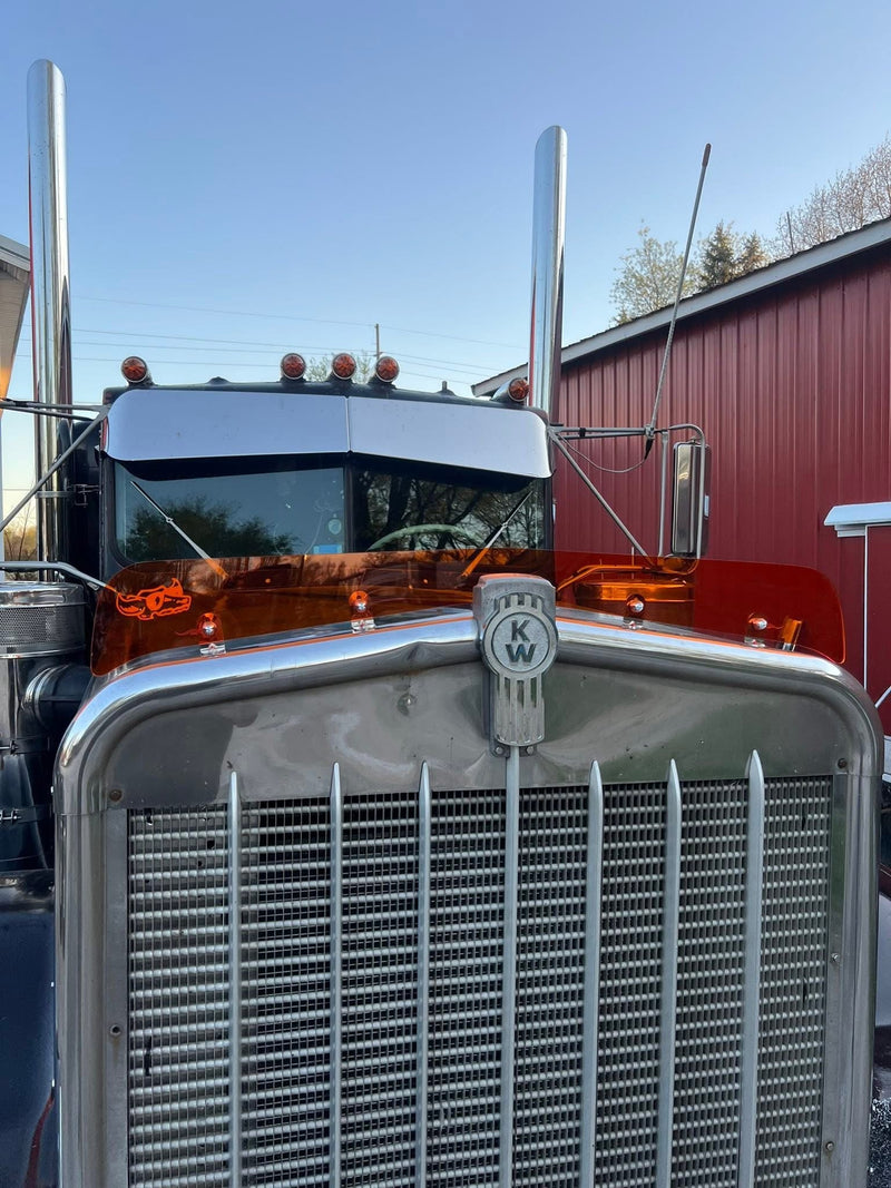 Kenworth W9A Bugshield