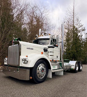 Kenworth W9A Bugshield
