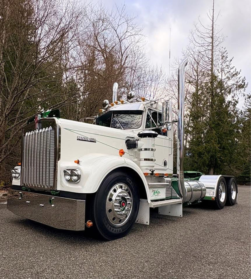Kenworth W9A Bugshield
