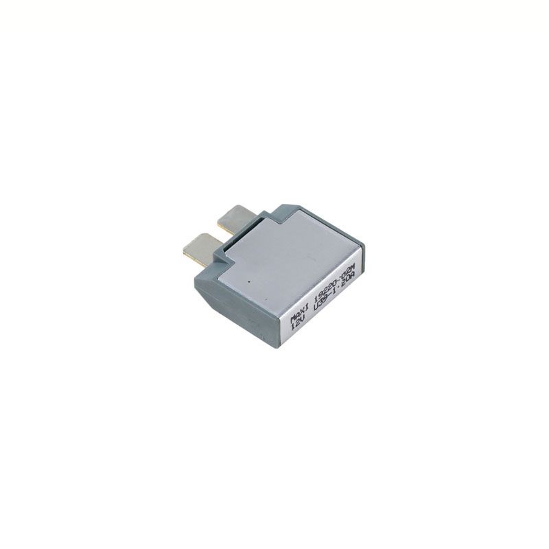Paccar 25 Amp Circuit Breaker