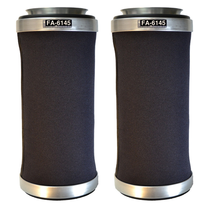 Fleetguard Fleet Air Filter Set FA6145