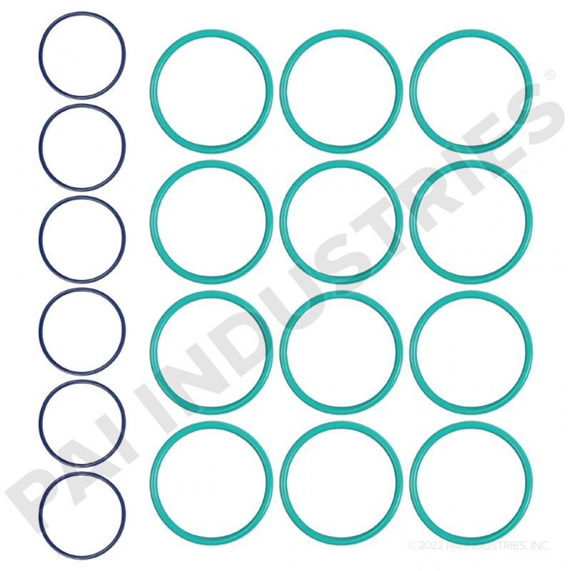 PAI Truck Parts O-Ring Kit