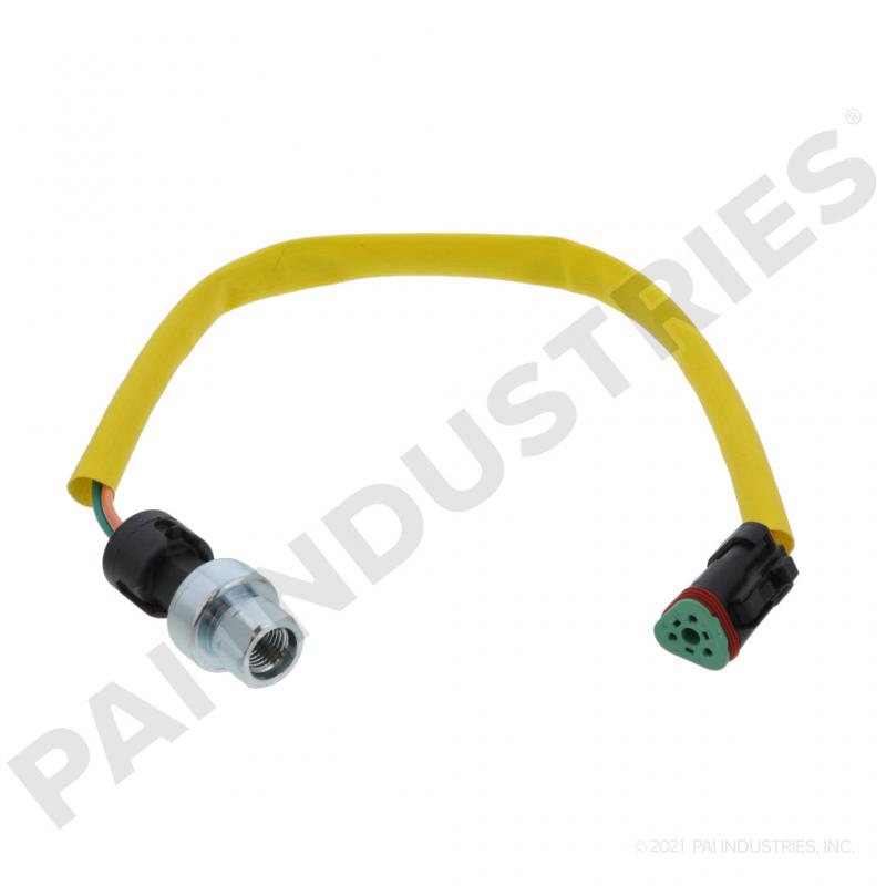 Cat Pressure Sensory 350609