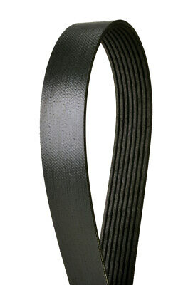 Alliance Serpentine Alternator/AC Belt