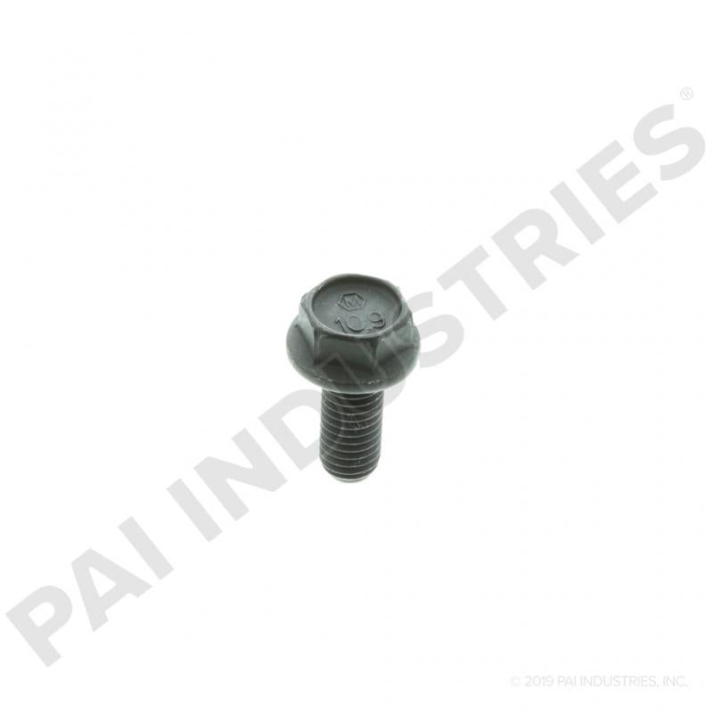 Cam Cap Bolt- Pai 640063