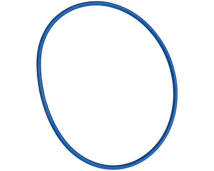 Detroit Diesel Accessory Drive O-Ring 08929253