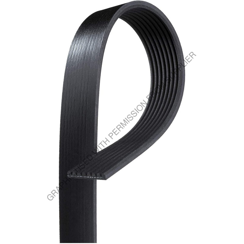 Alliance Serpentine Belt - 58.5"