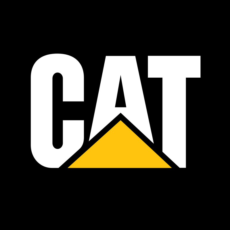 Caterpillar CAT Injector 1