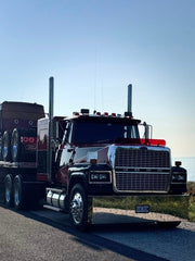 Ford LTL 9000 Bugshield