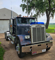 Freightliner FLC Bugshield
