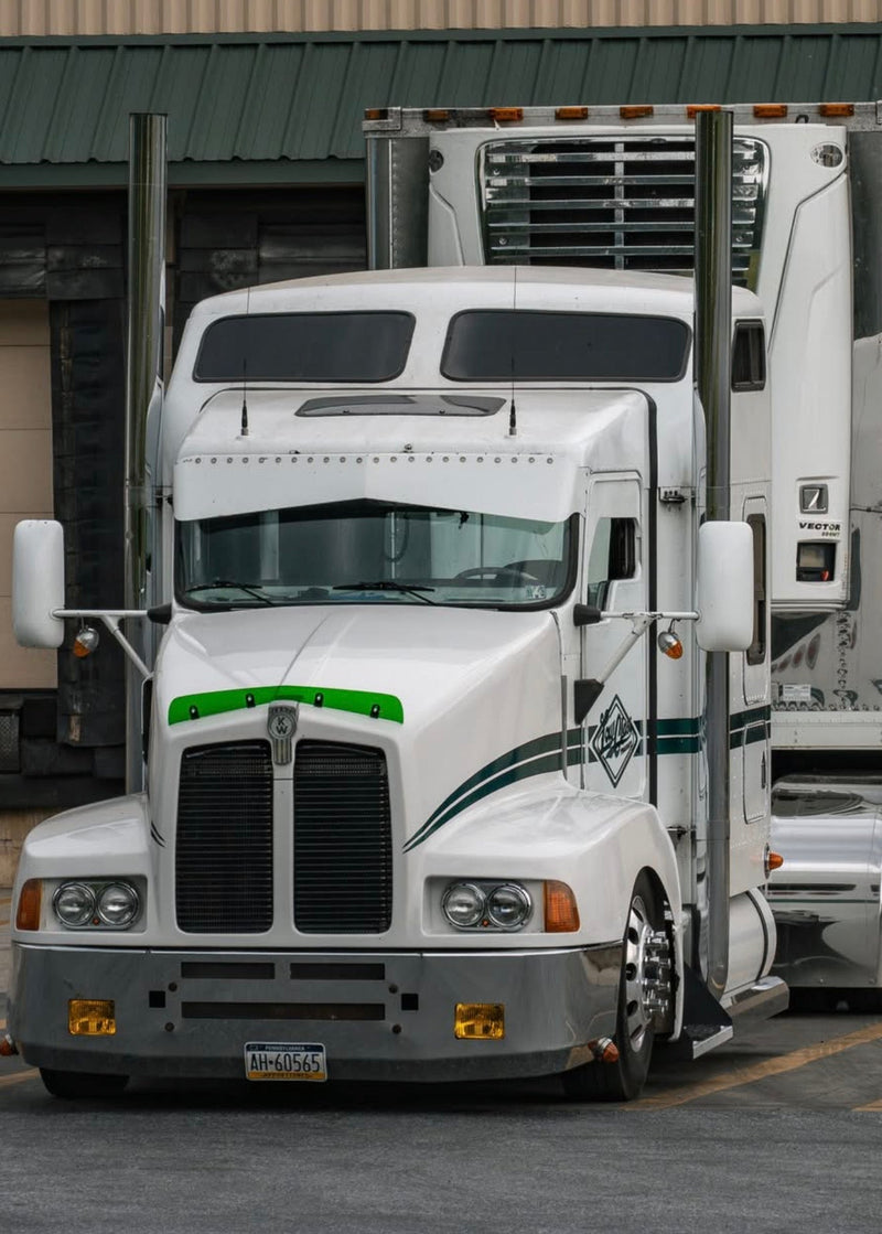 Kenworth T600 *Curved Glass* Bugshield