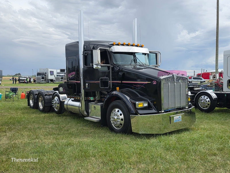 Kenworth T800 Bugshield