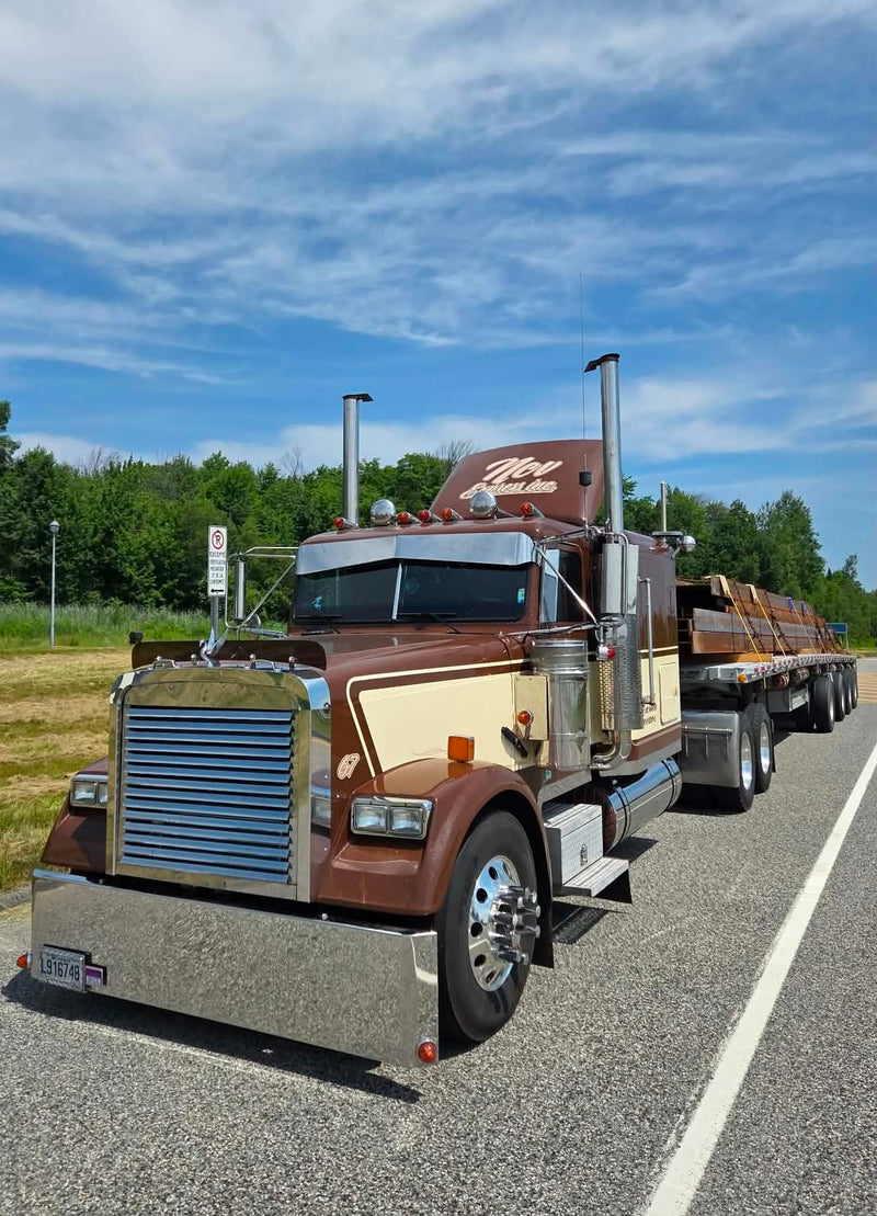 Freightliner Classic Bugshield