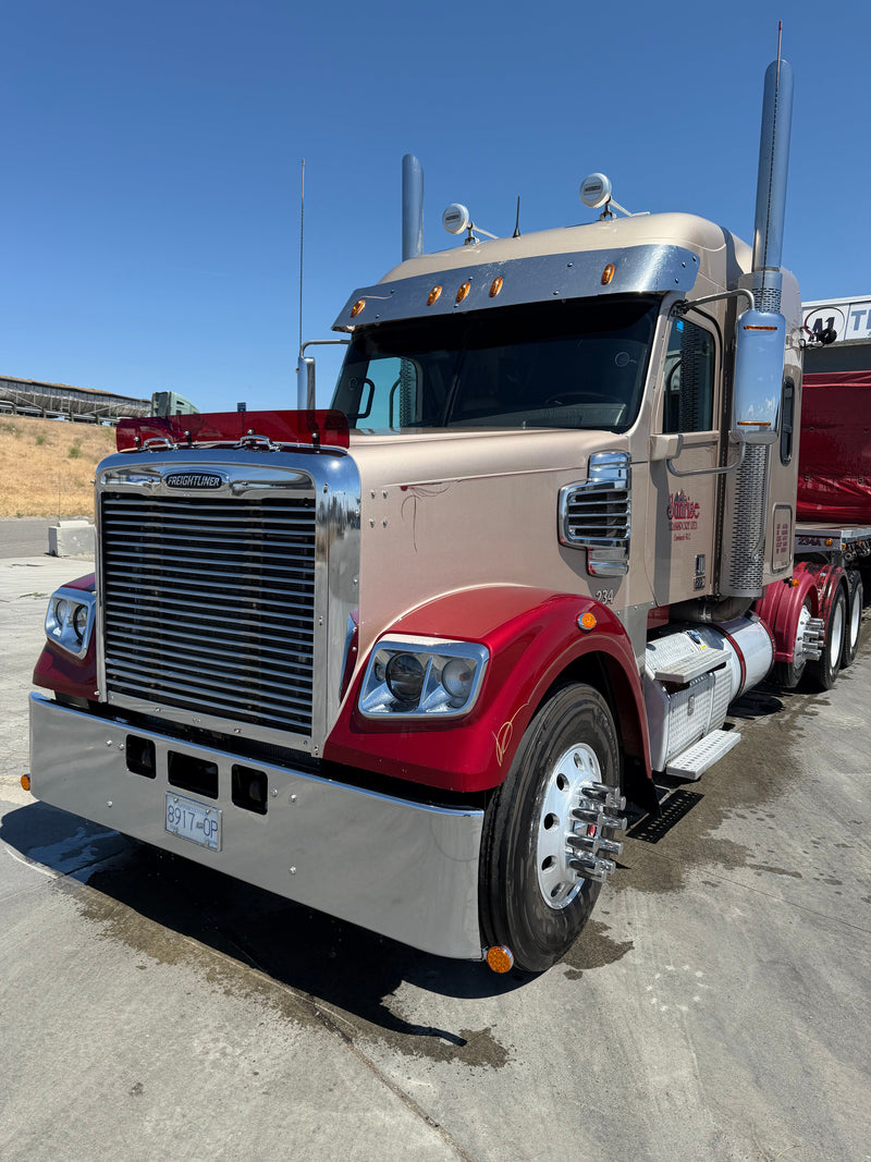 Freightliner Coronado 2010 and Up Bugshield