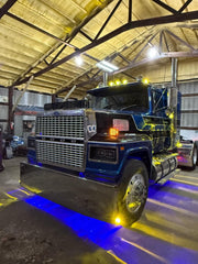 Ford LTL 9000 Bugshield