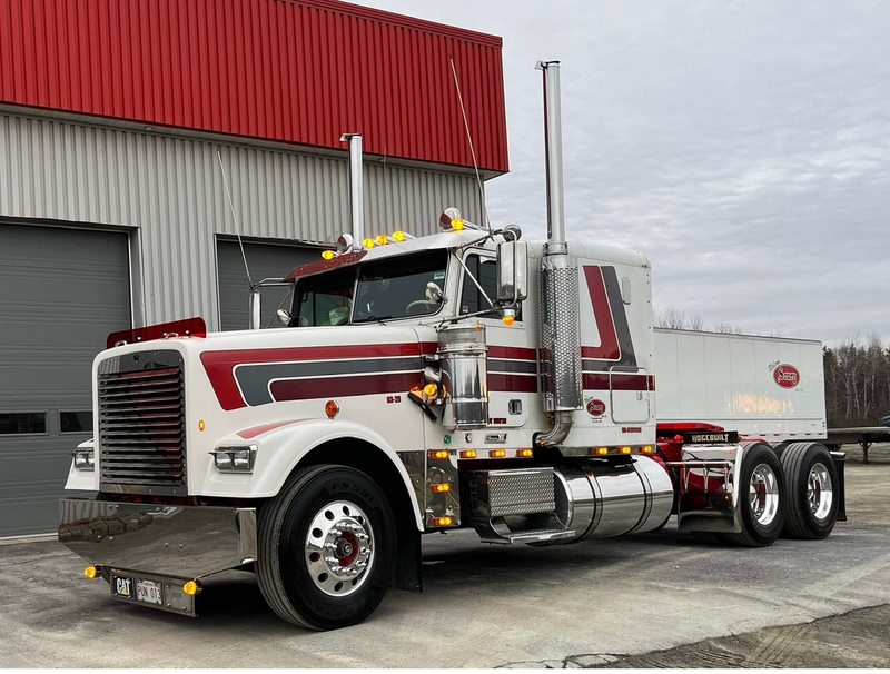 Freightliner Classic Bugshield