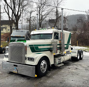 Freightliner Classic Bugshield
