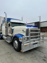International 9900/99001 Bugshield