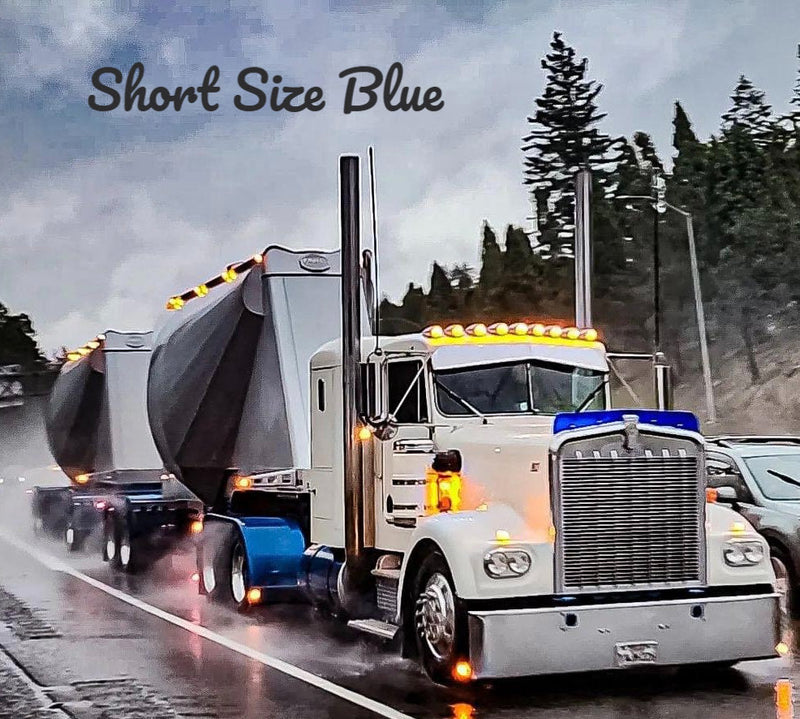 Kenworth W9A Bugshield