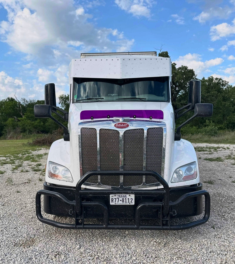 Peterbilt 579 Old Gen Bugshield 2013-2021