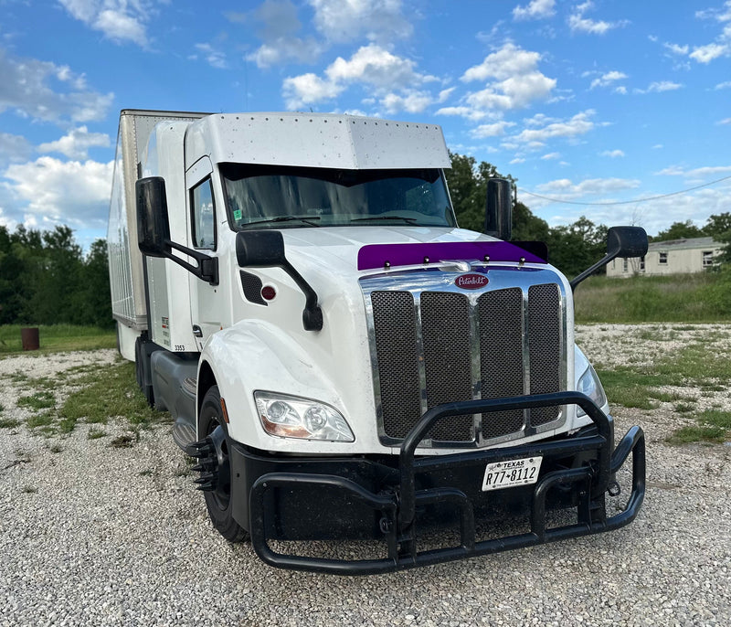 Peterbilt 579 Old Gen Bugshield 2013-2021