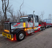 Westernstar 4900 FA, EX, SA Models Bugshield