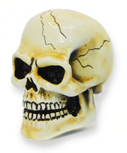 Twisted Shifterz Arnold Skull Shift Knob