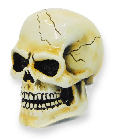 Twisted Shifterz Arnold Skull Shift Knob
