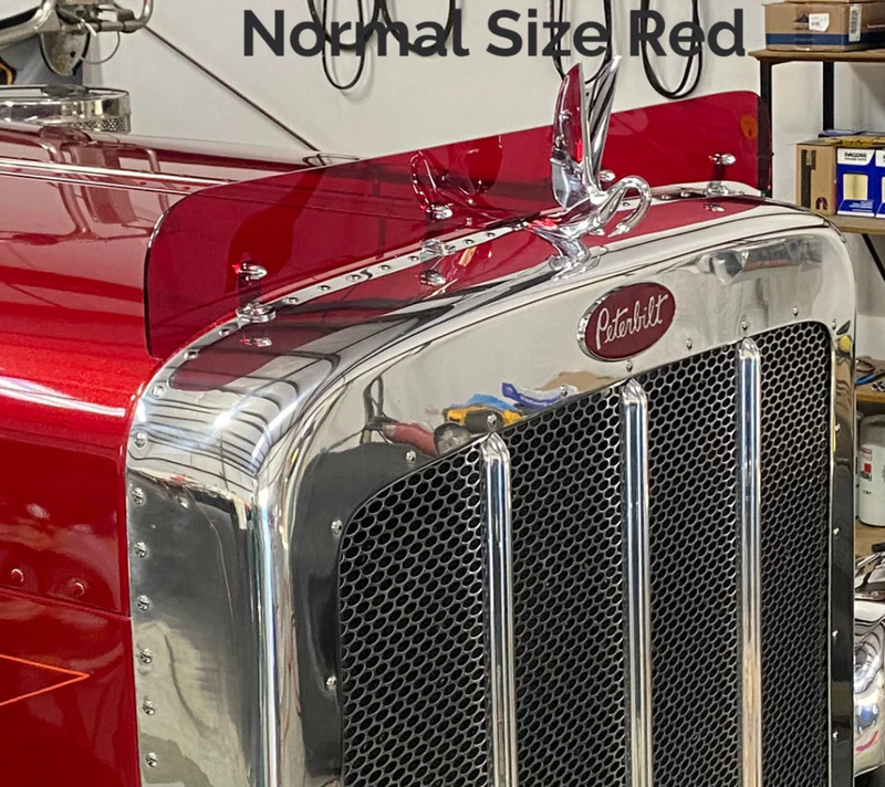 Dane Nelson Peterbilt 379 Bugshield