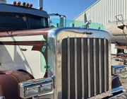Dane Nelson Peterbilt 379 Bugshield