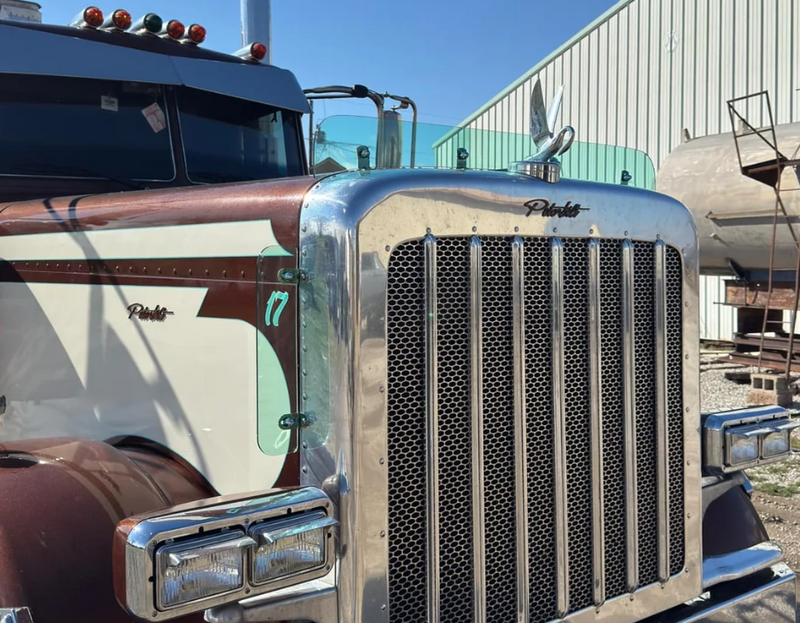 Dane Nelson Peterbilt 379 Bugshield
