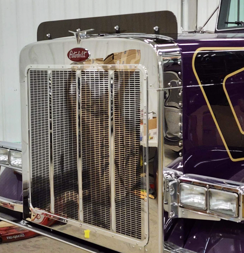 Dane Nelson Peterbilt 379 Bugshield