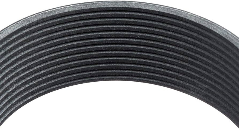 Detroit Diesel Detroit Poly Belt