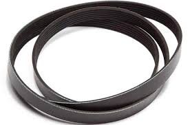 Alliance 10 Rib Belt -  57.9" Long