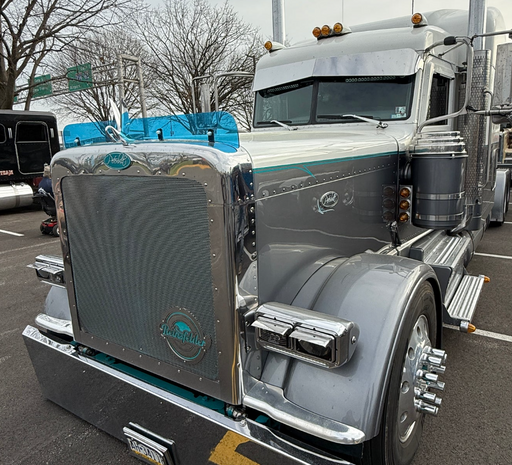 Dane Nelson Peterbilt 389 Bug Shield