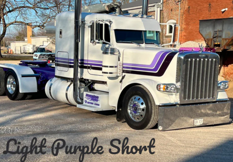 Dane Nelson Peterbilt 389 Bug Shield