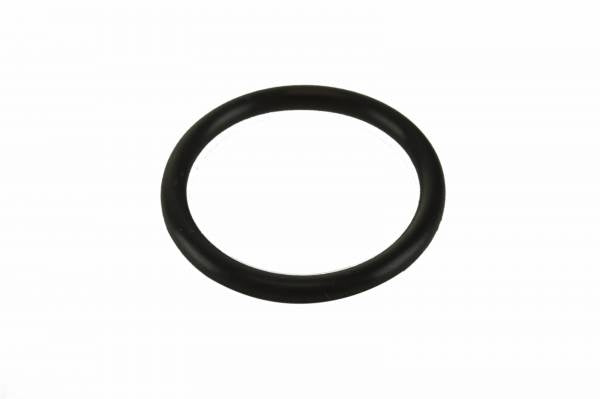Detroit Series 60 Diesel Seal Ring - Oil Pump Outlet