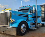 Dane Nelson Peterbilt 379 Bugshield