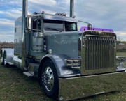 Dane Nelson Peterbilt 389 Bug Shield
