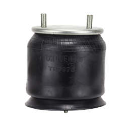 Air Spring W013589978