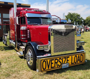 Dane Nelson Peterbilt 389 Bug Shield