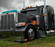 Dane Nelson Peterbilt 379 Bugshield