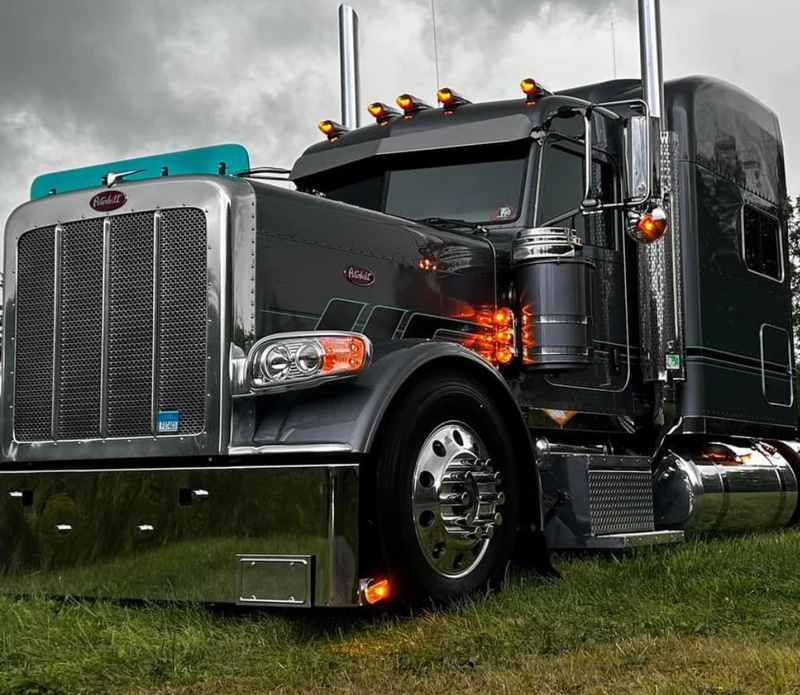Dane Nelson Peterbilt 379 Bugshield